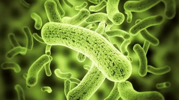 克罗恩病的手术指征是_克罗恩病的手术指征包括_克罗恩的手术指征是