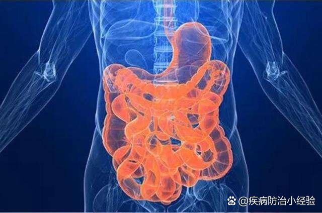 克洛夫金最新比赛视频_l克罗恩_克罗恩最新