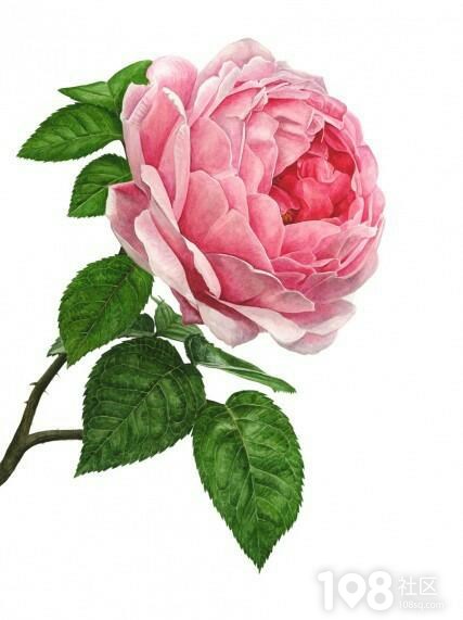 108是哪个区-108 区，一个充满魔力与神秘感的地方，让你流连忘返