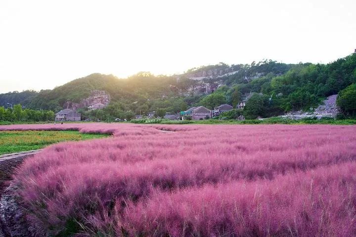 区是属于市级还是县级_区是指县还是镇_108是哪个区