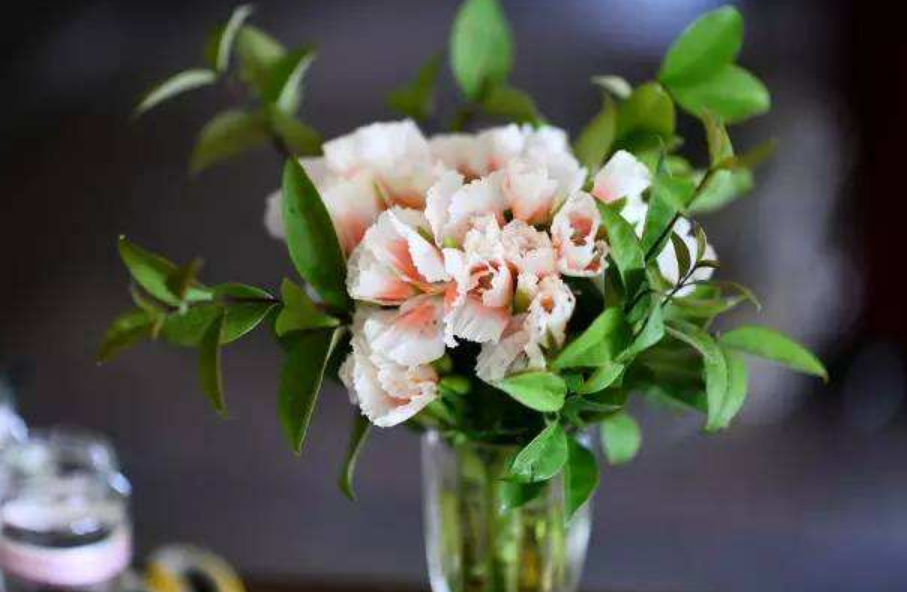 richtextbox的文本-RichTextBox 让人又爱又恨，如何才能与之好好相处？