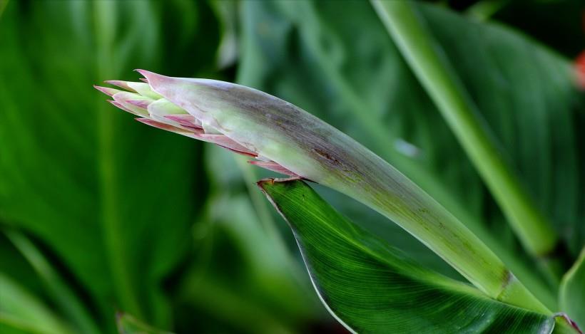 文本效果设置在哪_richtextbox的文本_richtextboxc