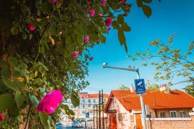 朝阳区化工路59号_朝阳化工路属于什么街道_朝阳化工区路号是多少