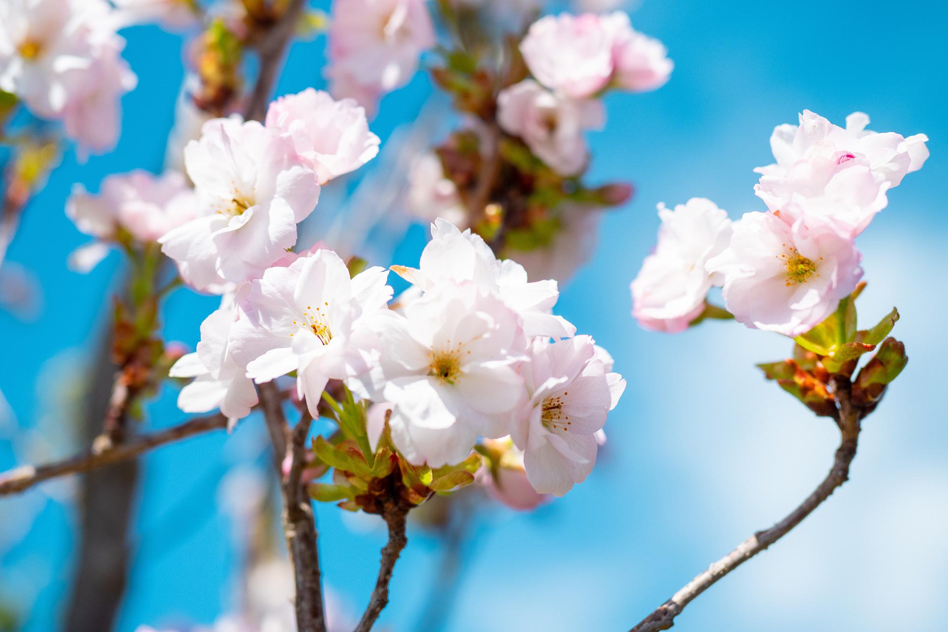 dwn.exe是什么_dwn.exe_dwn