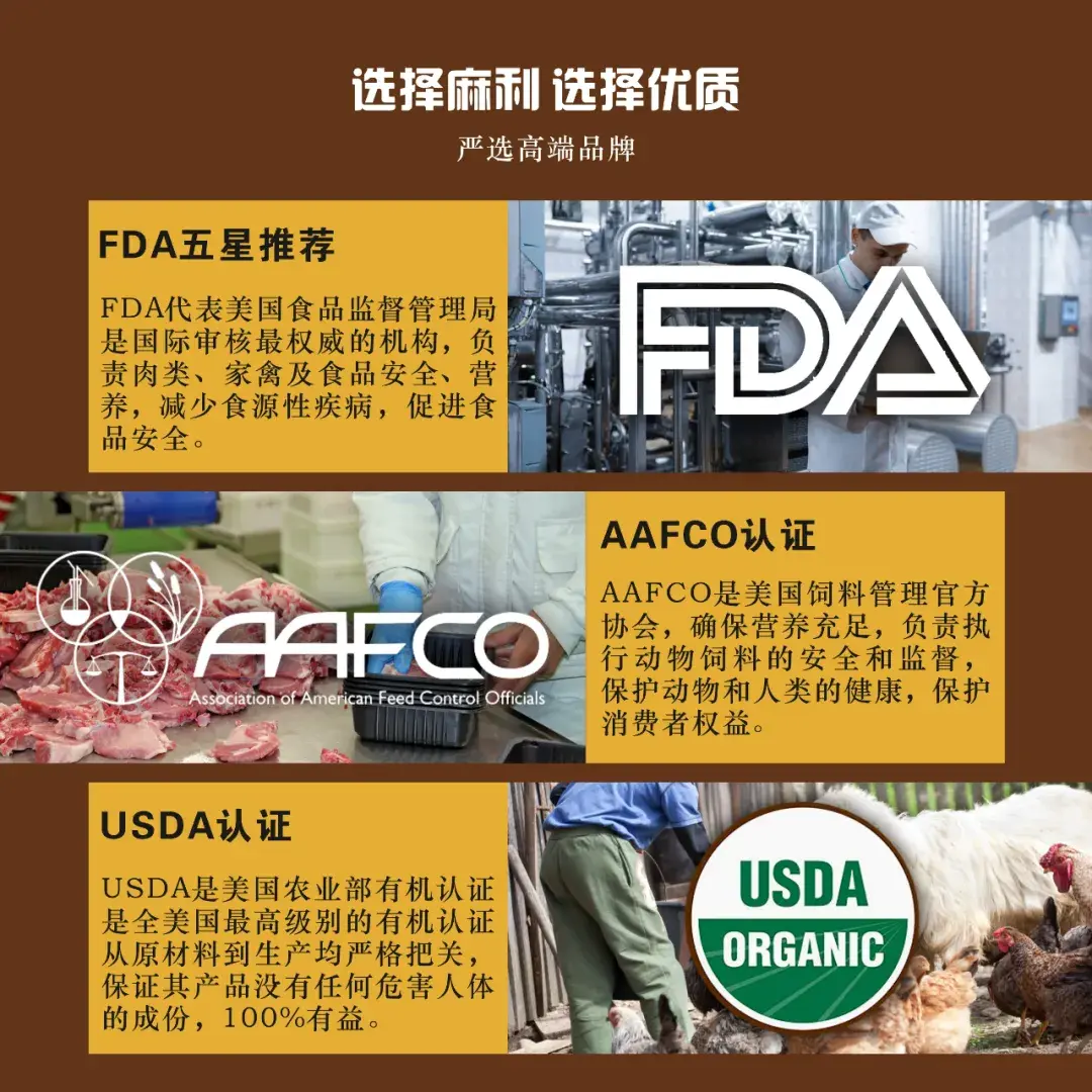 帝国模板网_帝国mip模板_帝国企业站模板