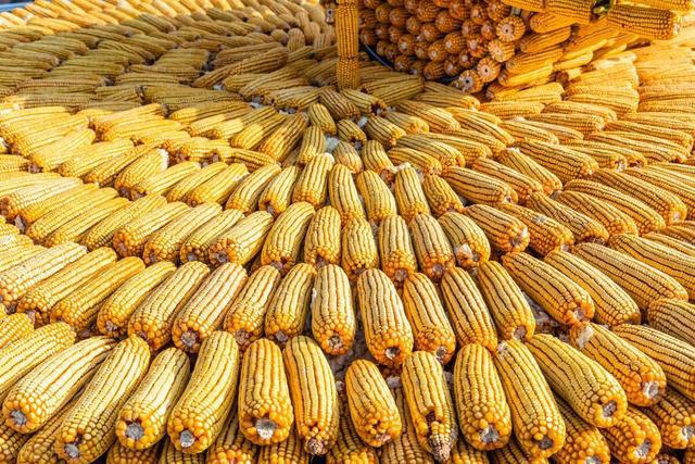 接线型号按钮消火栓图片_接线型号按钮消火栓的作用_消火栓按钮接线型号