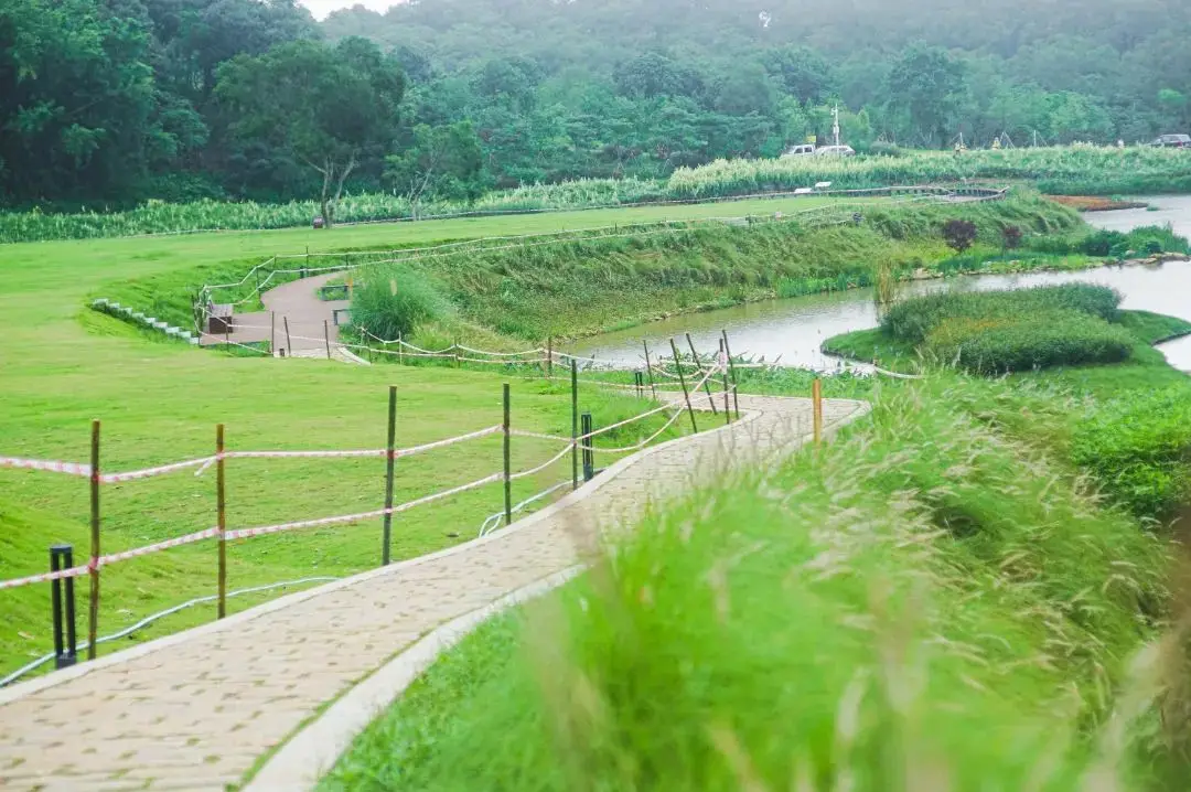 有效身份证件类别填写_有效身份证证件类别_有效身份证件类别