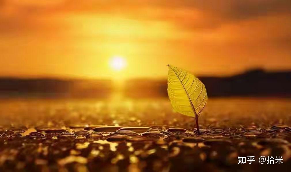 男主哮喘病发作喘不上气_男主哮喘病发作的视频_男主哮喘发作了