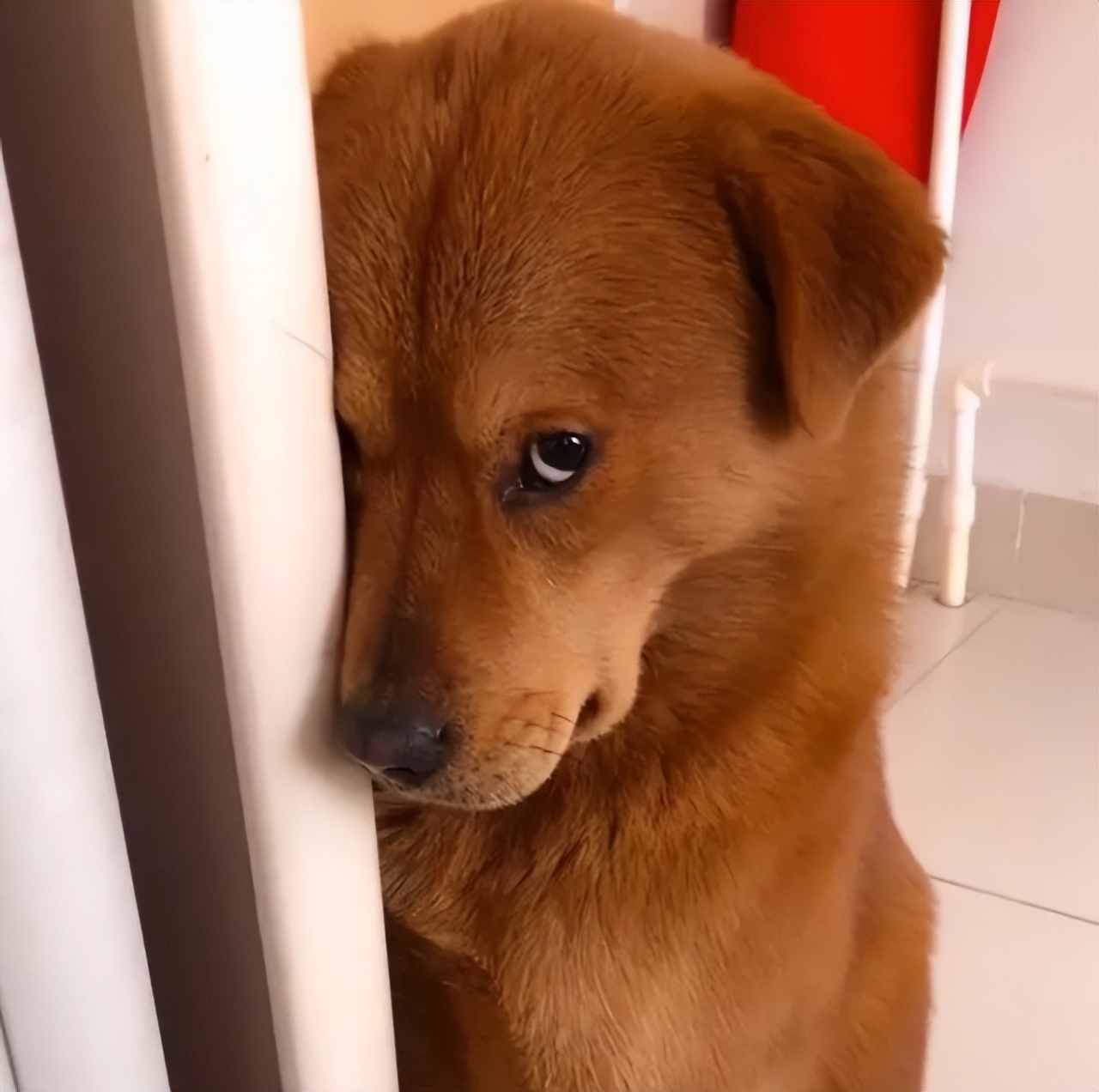 msmdsrv.exe：电脑里的幕后英雄，偶尔也会闹小脾气