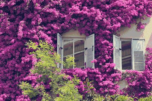 文件被替换-辛辛苦苦做的报告不见了，心情如坐过山车，该如何找回？