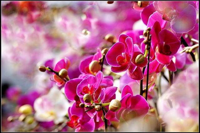 地图导航_cs nuke地图_地图nuke