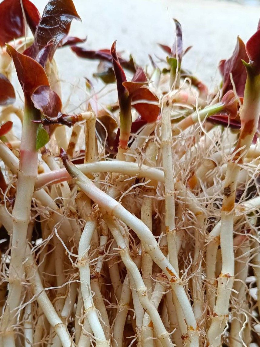 th1 10240_th1 10240_th1 10240