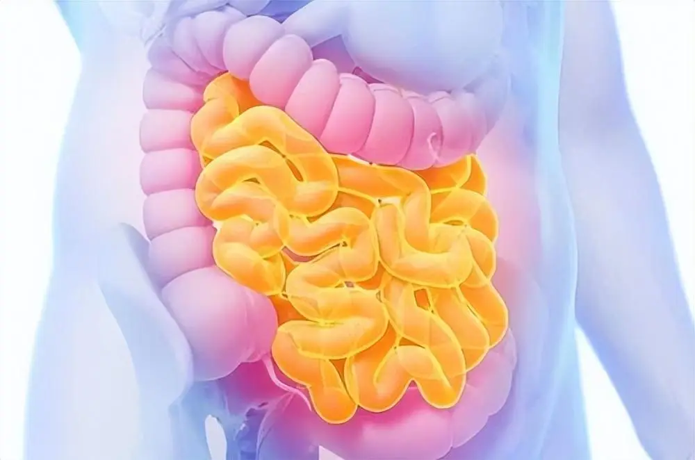 克罗恩能治好吗_能治罗恩克好的中成药_罗克恩病能治好吗