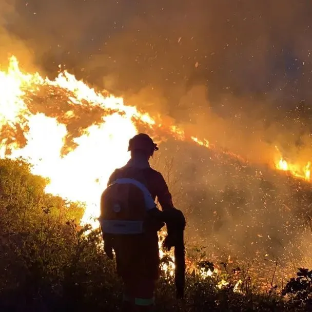消防模块的原理_消防模块工作原理_模块原理消防工作是什么