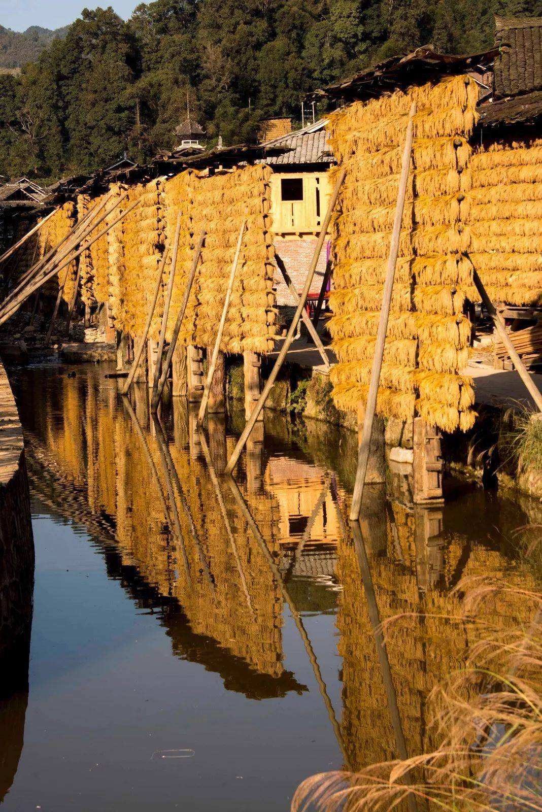 cad看坐标系_cad上怎么看一个点的坐标_坐标点在cad怎么显示