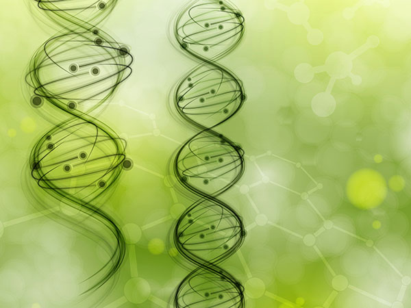 罗克恩病能治好吗_药物病治疗罗恩克菌的原理_克罗恩病治疗药物