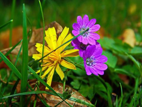 万方文献导出后怎么看_万方论文下载导出_万方论文查询导出