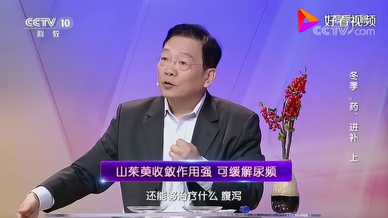 狗狗心肺病吃什么药_狗狗心肺病_狗狗心肺病怎么办