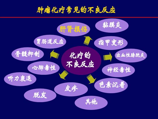 狗狗心肺病_狗狗心肺病吃什么药_狗狗心肺病怎么办