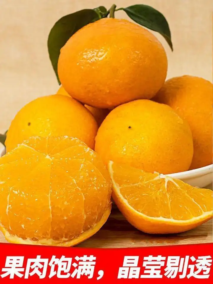 web浏览器阻止activex_阻止浏览器跟踪是跟踪什么_阻止浏览器打开应用