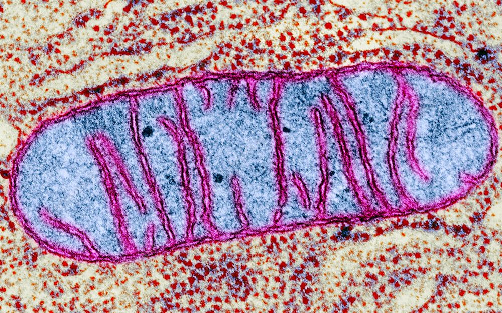 中国是否进入一级战备状态_中国是部金融史2天下之财_哔哩哔哩是中国的吗
