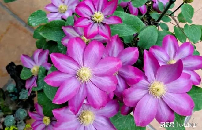 老人防走失智能手环_老人防走失手环哪个好_老人gps防走失手环