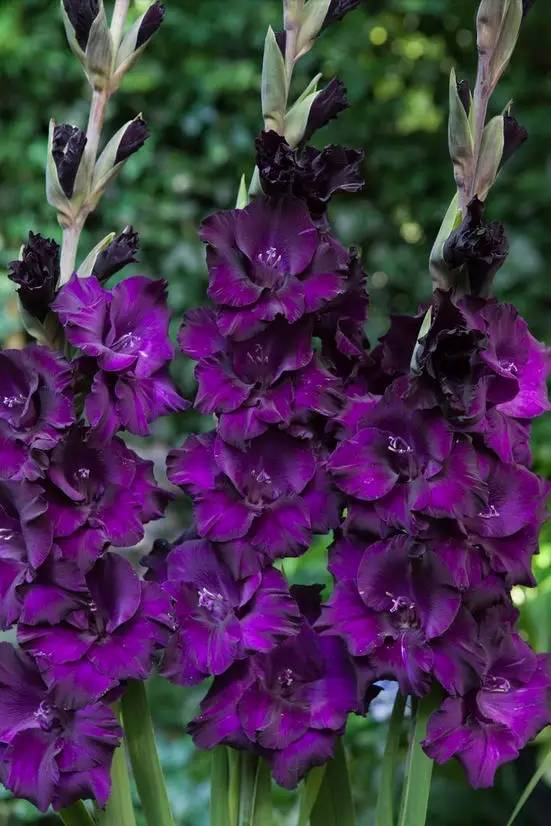 老人防走失手环哪个好_老人gps防走失手环_老人防走失智能手环