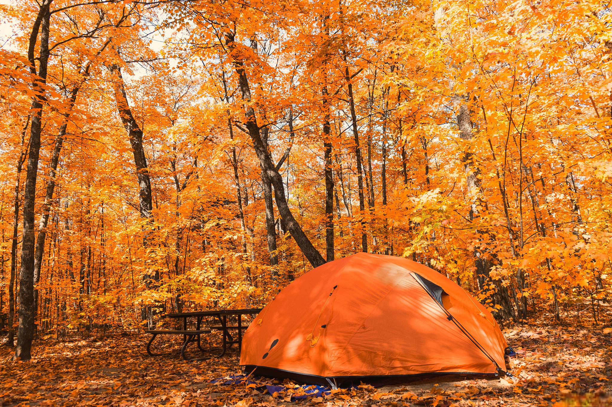 原理电控系统有哪些_原理电控系统课程设计_电控系统原理