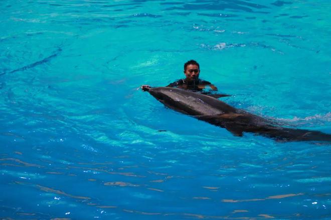 新视通 加密_新视通 加密_新视通 加密