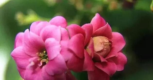 交阯意思_交意的意思_深交是什么意思