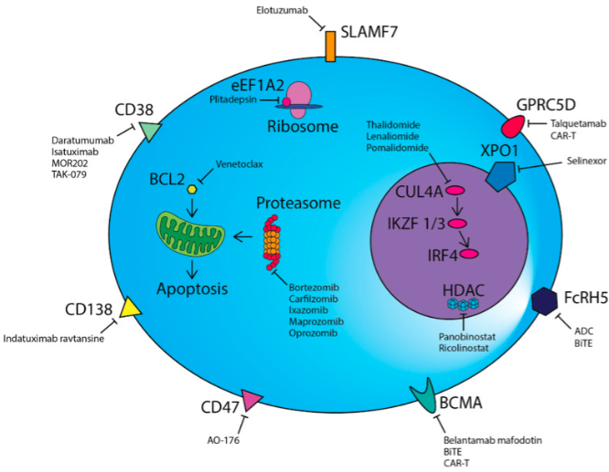 血液科常见疾病种类_血液科常见的5大疾病_常见的血液科疾病
