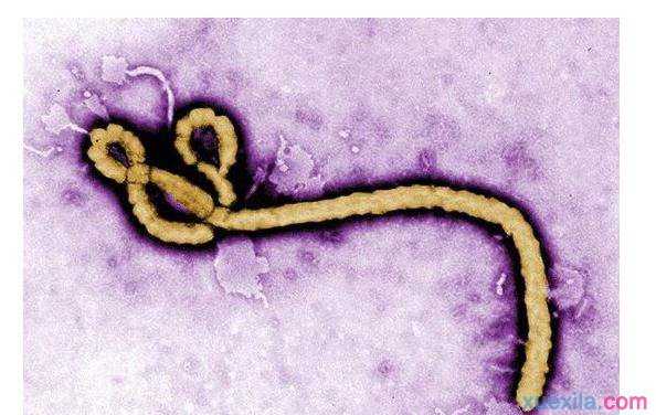 电脑系统日常维护工作-电脑系统日常维护：定期清理、体检、打预防针，让你的电脑健康运行