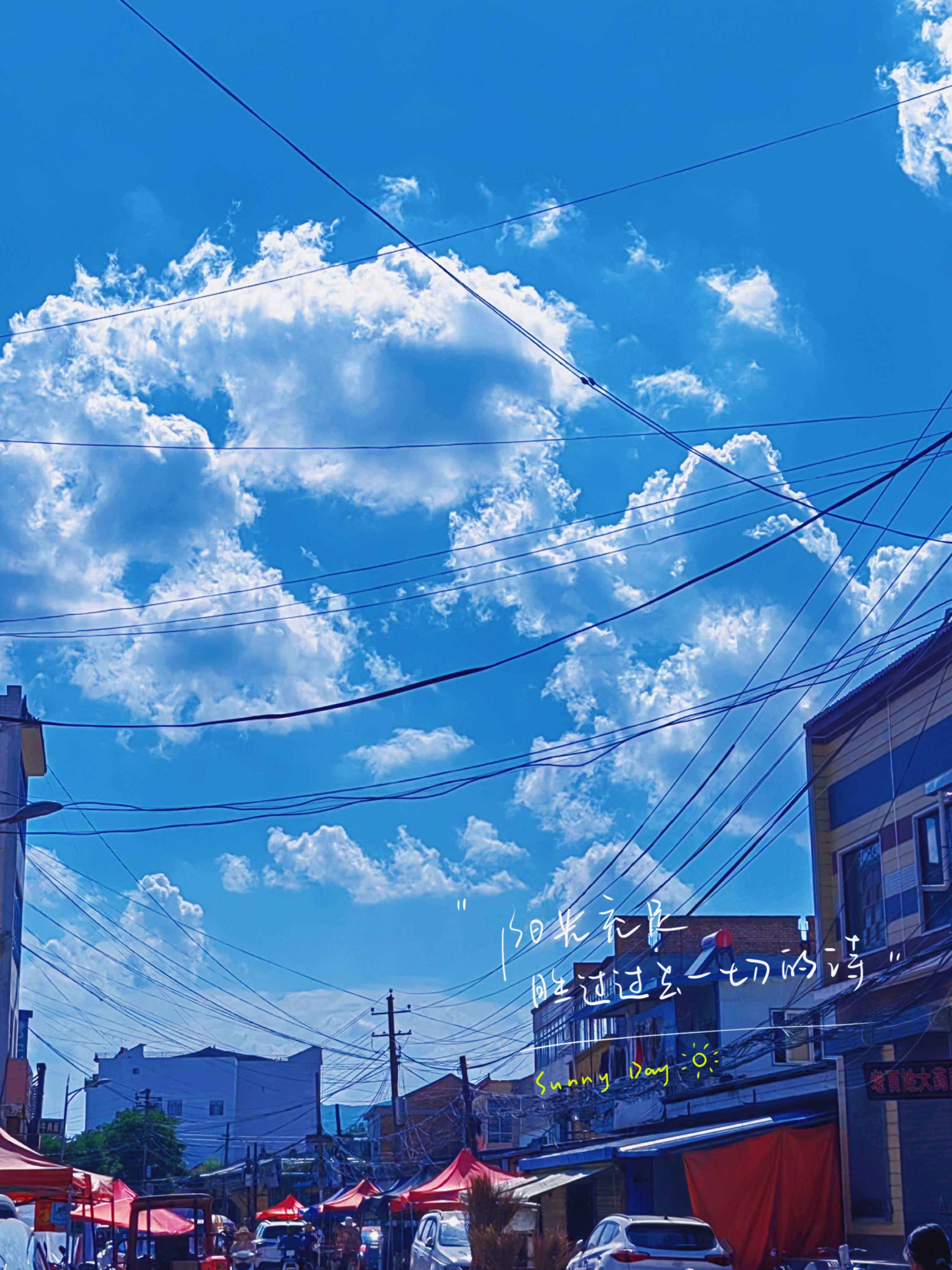 探秘户籍信息查询系统：藏着无数秘密的宝库等你来发现