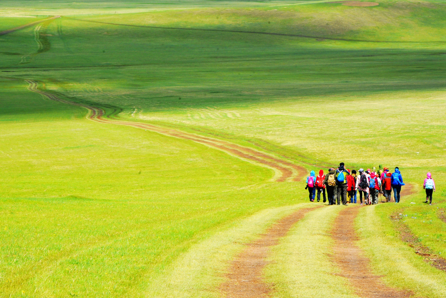 地平线零之曙光告别任务_鄂尔多斯大蜘蛛_口腔张口受限