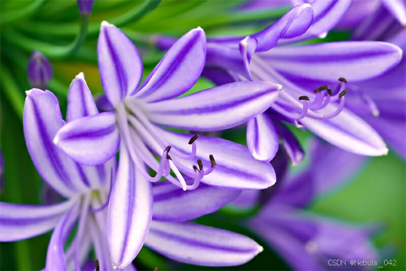 ssleay32dll ad_cdll_ssleay32dll ad_cdll_ssleay32dll ad_cdll