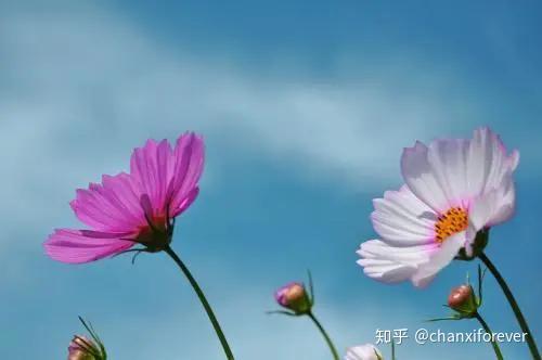 exer可以做名词吗_exercise_rk.exe