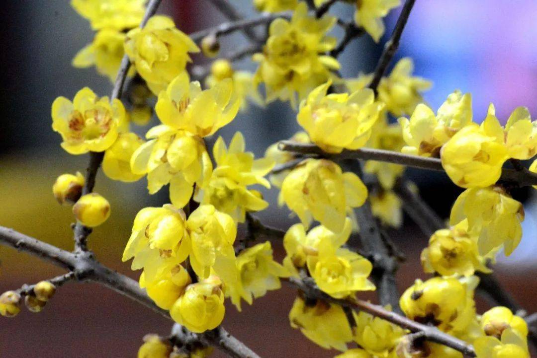 身份证号码校验码是什么意思_身份证号码校验_身份证号码校验码有什么用