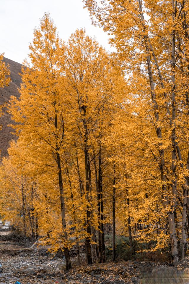 恢复易数软件数据手机怎么弄_易数手机数据恢复软件_易数手机数据恢复软件下载