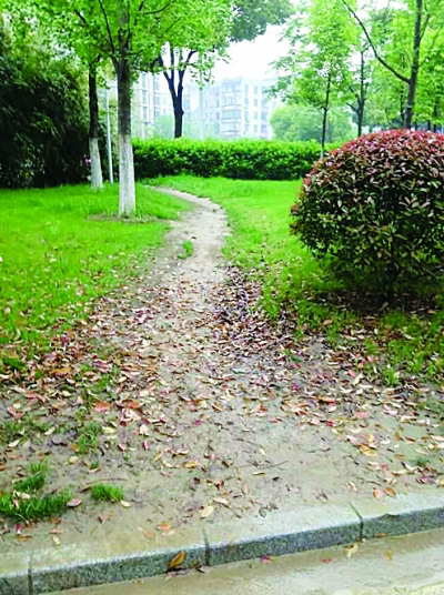 网吧系统在哪里下载-网吧系统下载之谜：昔日辉煌难寻，珍贵资源何时重见天日？