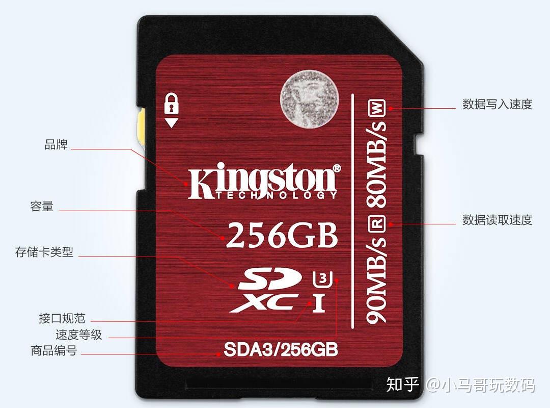 内存照片卡显示出来怎么办_内存卡照片显示不全_内存卡照片显示不出来