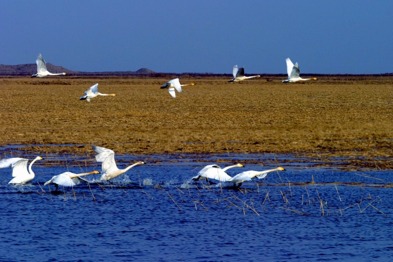 locaspace viewer-LocaSpaceViewer：带你飞越千山万水，探索地球每一个角