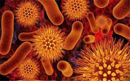 罗克罗恩病的特征性体征_罗克恩病早期症状_克罗恩病都有哪些症状