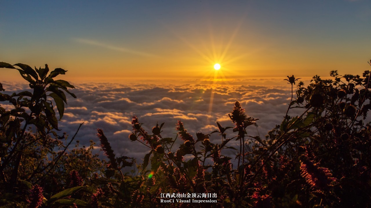 路口监控摄像头_路口监控探头_摄像路口监控头怎么用