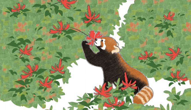 mapinfo自动跟踪-MapInfo 自动跟踪：私人导航员，记录你的每一步，让生活如装上翅膀