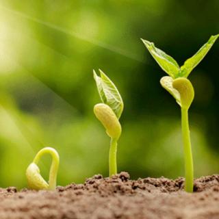 跟踪自动对焦_mapinfo自动跟踪_自动跟踪原理