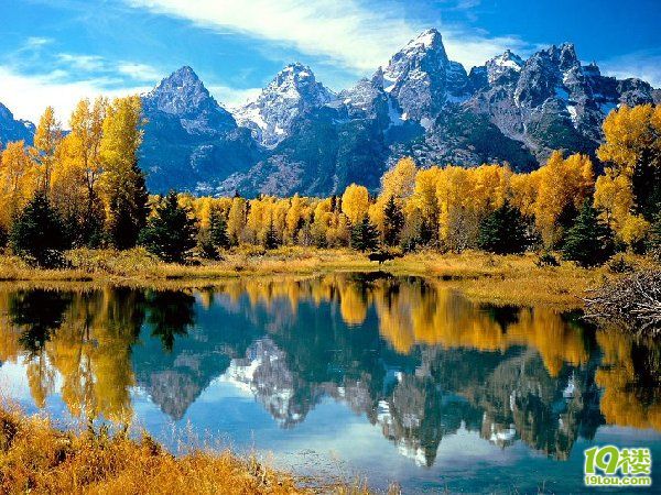 杭州绿云优势_杭州绿云融资_杭州绿云股份有限公司