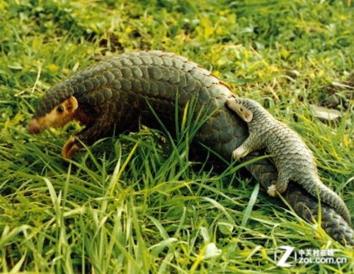 右键添加打印功能怎么设置_ubuntu bcompare添加右键_右键添加压缩功能