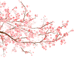 msdn windows7旗舰版-怀念 Windows7 旗舰版：曾经的桌面明珠，流畅稳定的经典系统