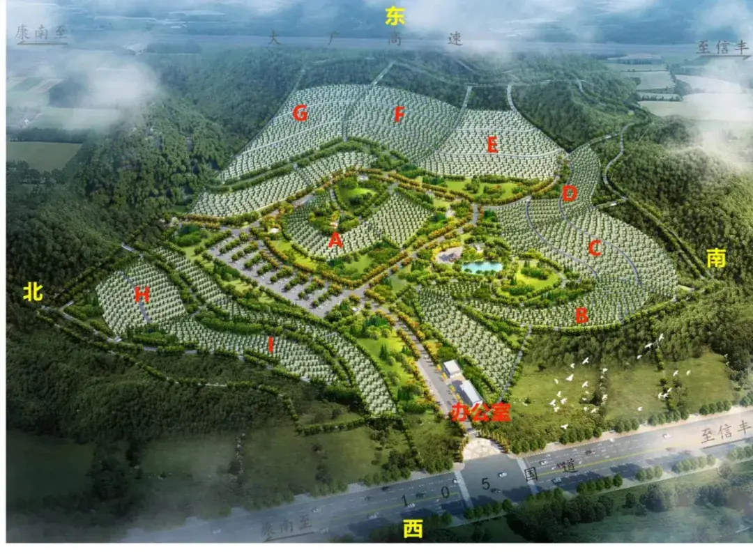 身份证号大全18岁以上加地址-身份证号大全：窥探他人生活的神秘钥匙与隐私保护的重要性