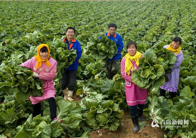 证件地址信息是什么意思_证件地址信息_身份证号大全18岁以上加地址